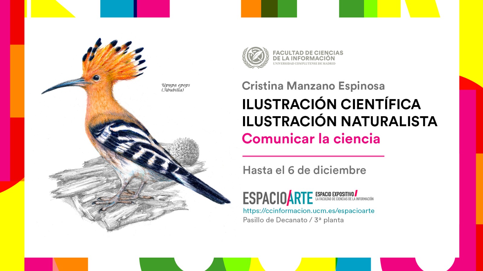 Comunicar la ciencia: Ilustración científica y naturalista